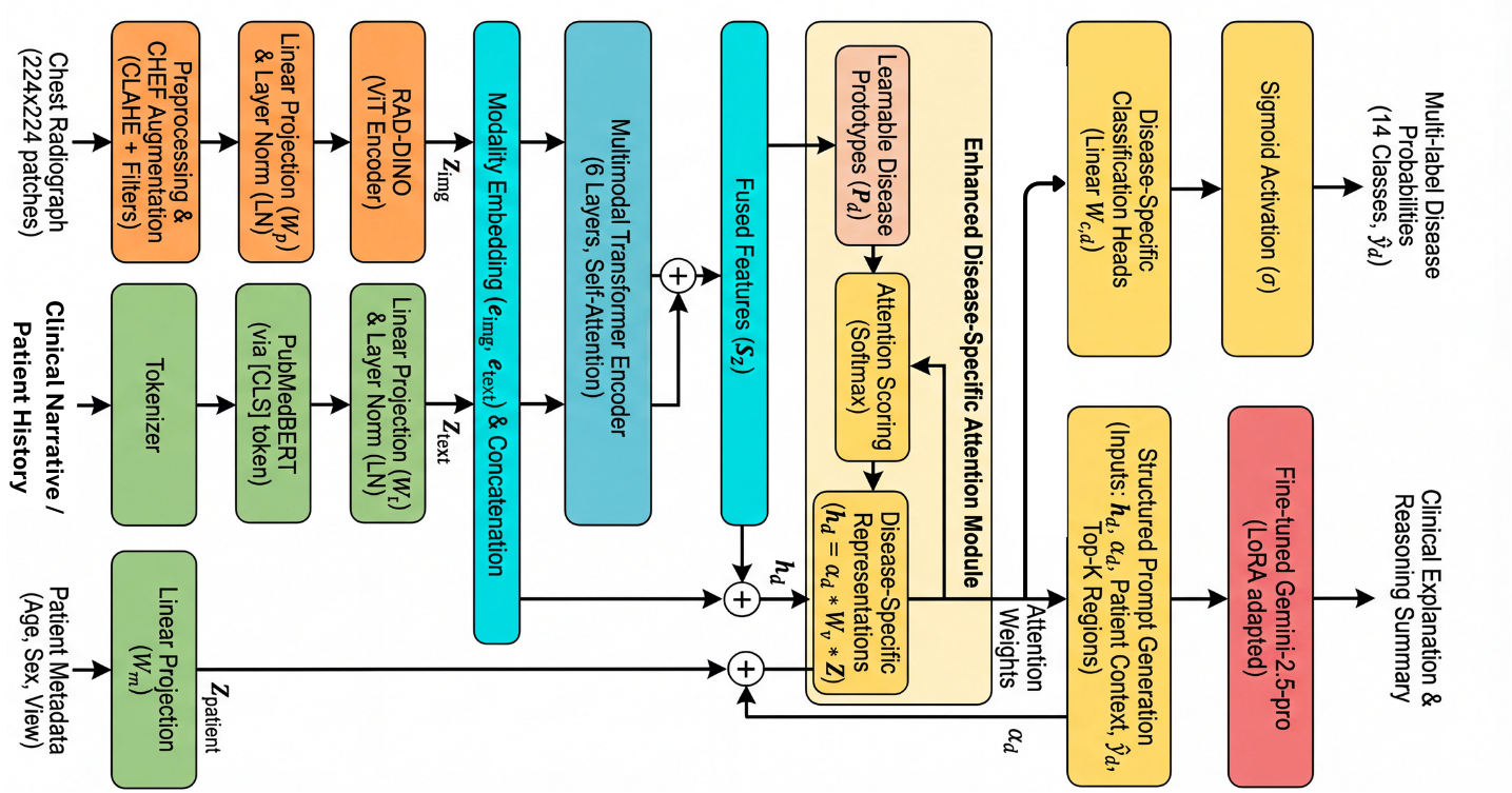 RadFusion model pipeline